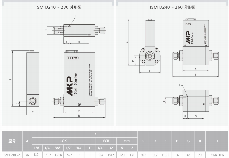 TSM-D210質量流量計產品外形圖和參數.png