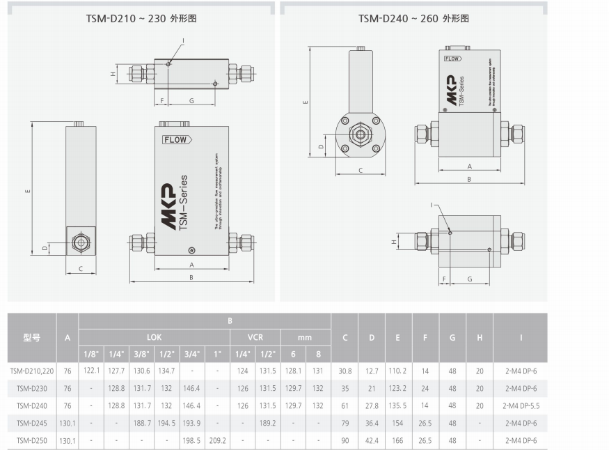 TSM-D250質量流量計產品外形圖和參數.png